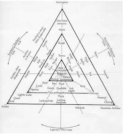 a graphic outlining the various characteristics of wine structure